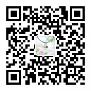 qrcode_for_gh_38c5e168ee0e_860-300x300